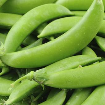 sugarsnap peas